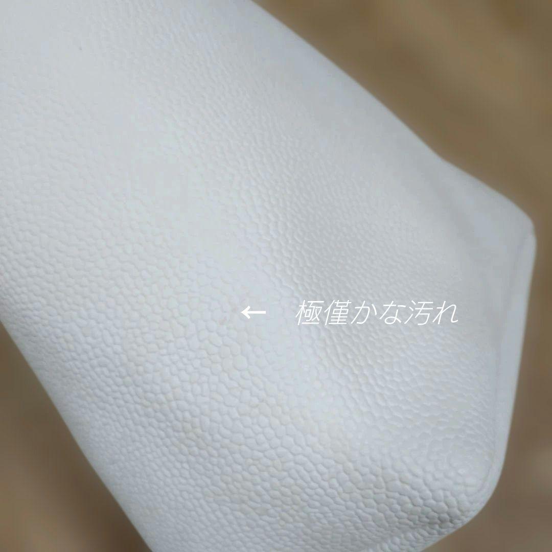 エルベシャプリエ　704GP