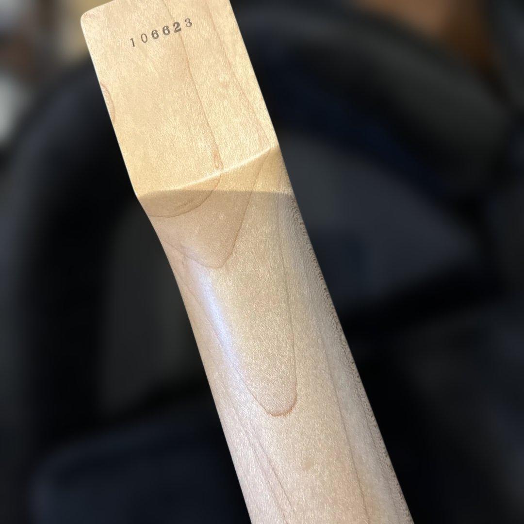 Bacchus G6-HL/EWC ヘッドレス