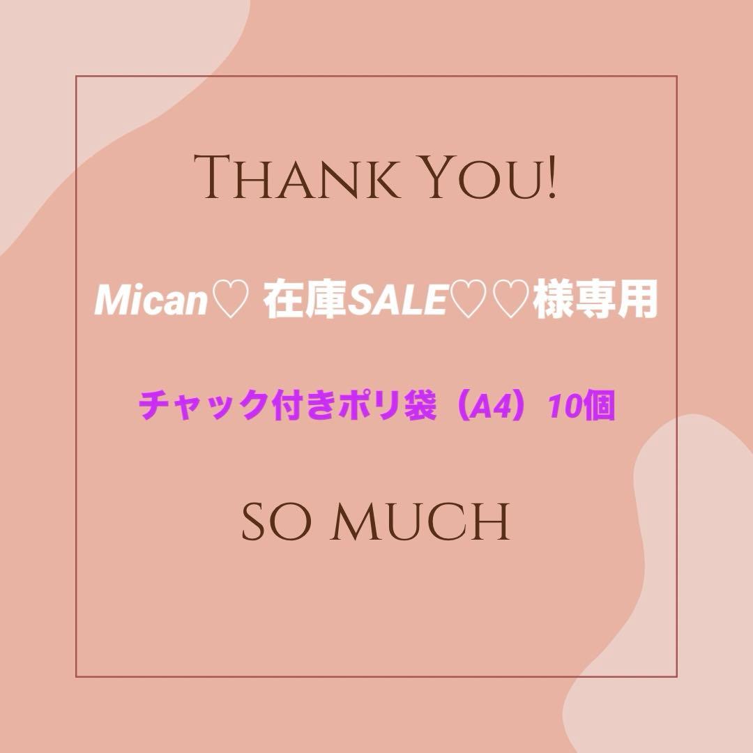 ※専用【チャック付きポリ袋】A4サイズ 1000枚 圧縮 梱包資材