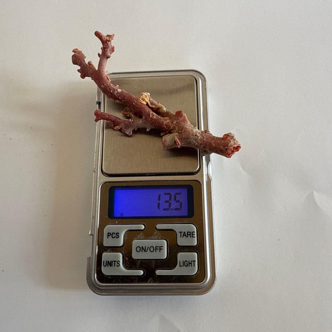 天然珊瑚枝　30.2g