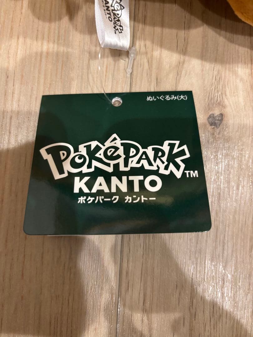 ポケパークカントー ピカチュウ ぬいぐるみ 特大 限定