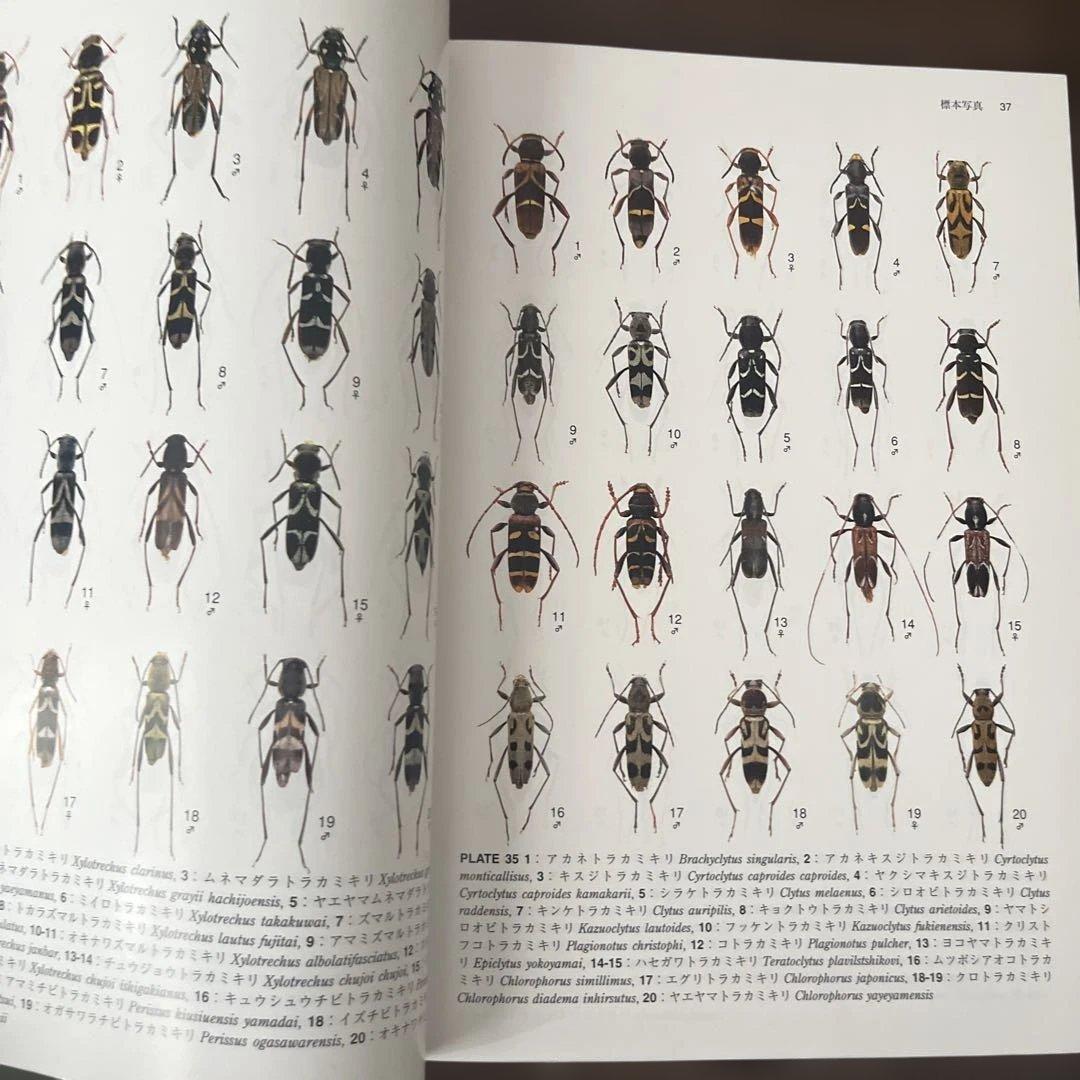 日本産カミキリムシ　図鑑