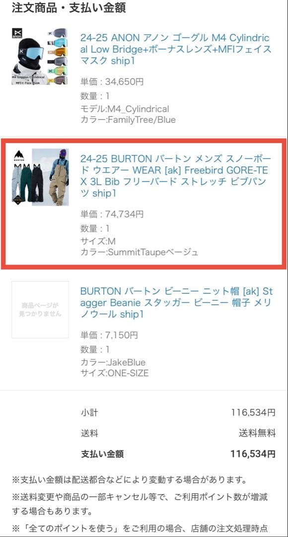 定価8.6万円 24-25 BURTON ak Freebird ゴアテックス