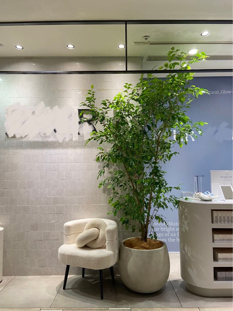 【直接取引のみ】55cm ポット　アンティークホワイト　※ポットのみです