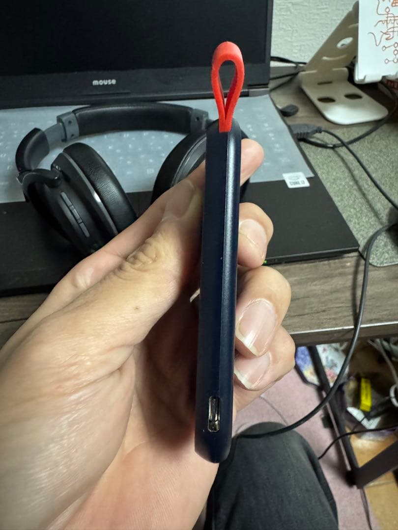 SanDisk ポータブルSSD 1TB SSDSDX20-1T00