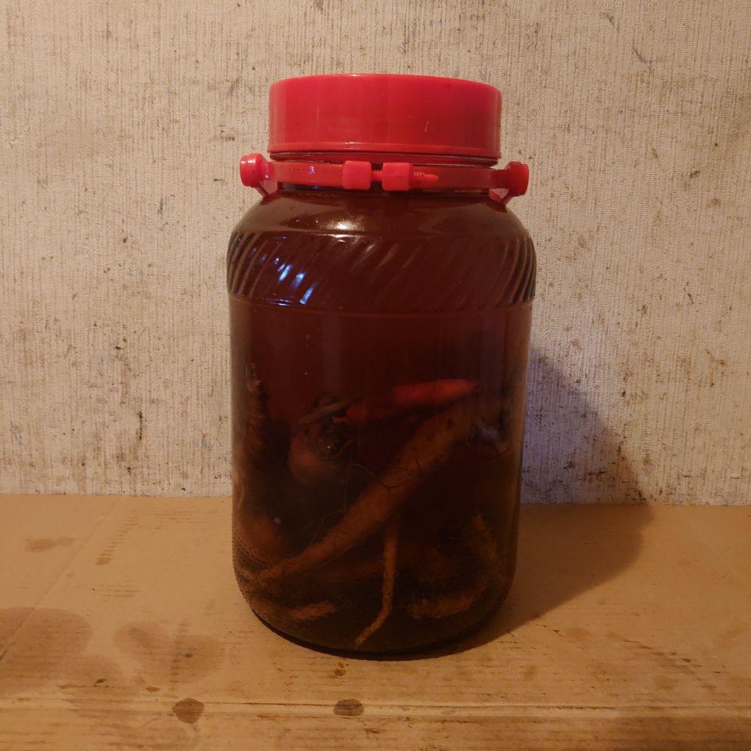 奈良県吉野山系吉野で採取りした天然物ツルニンジン酒5Ｌ入り
