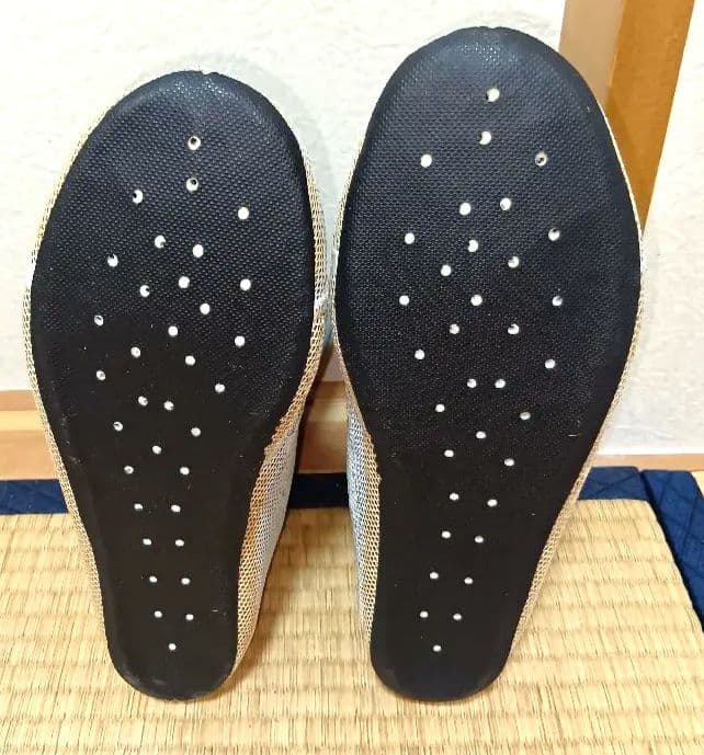 テクニカ TECNICA インラインスケート 陸トレ 28cm 美品