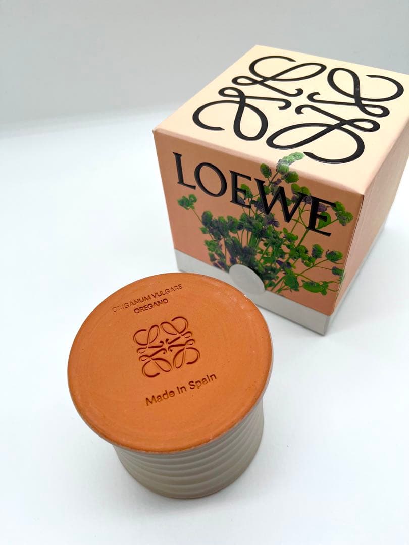 【大人気】LOEWE ロエベ オレガノ キャンドル アロマ　ホワイト
