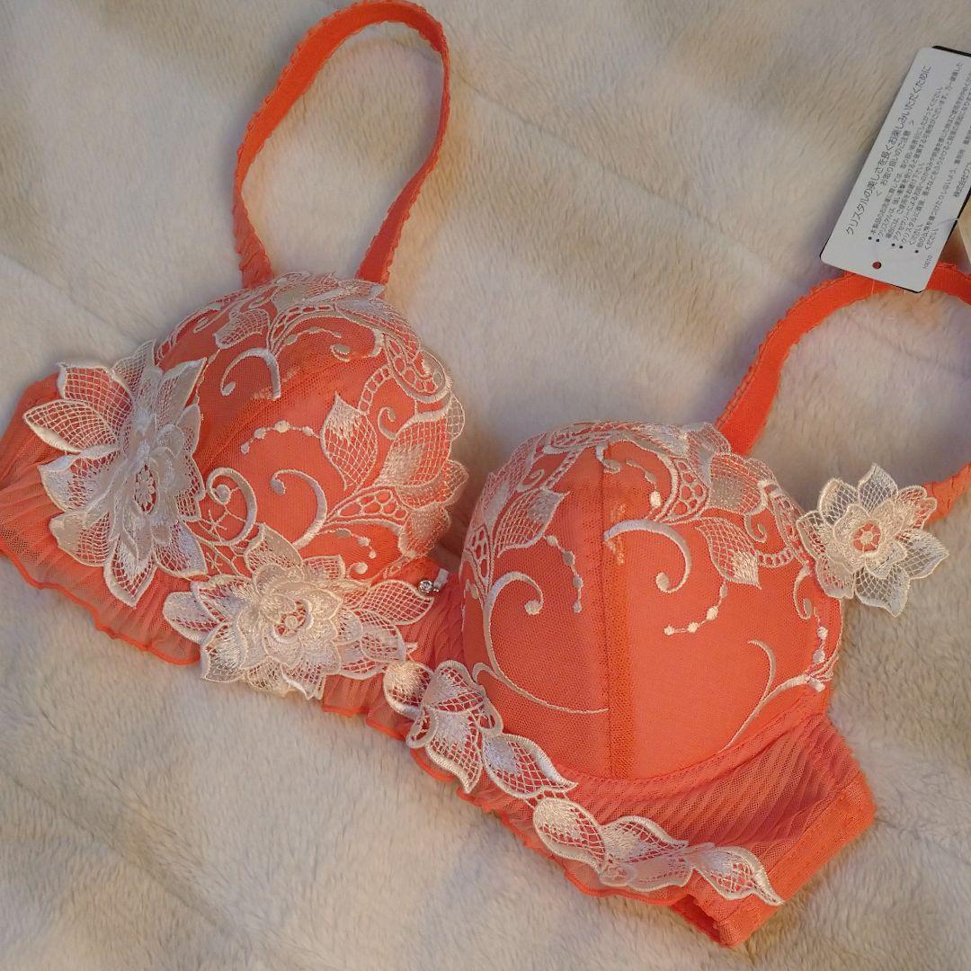 専用！　サルート ブラ アルテミス D70