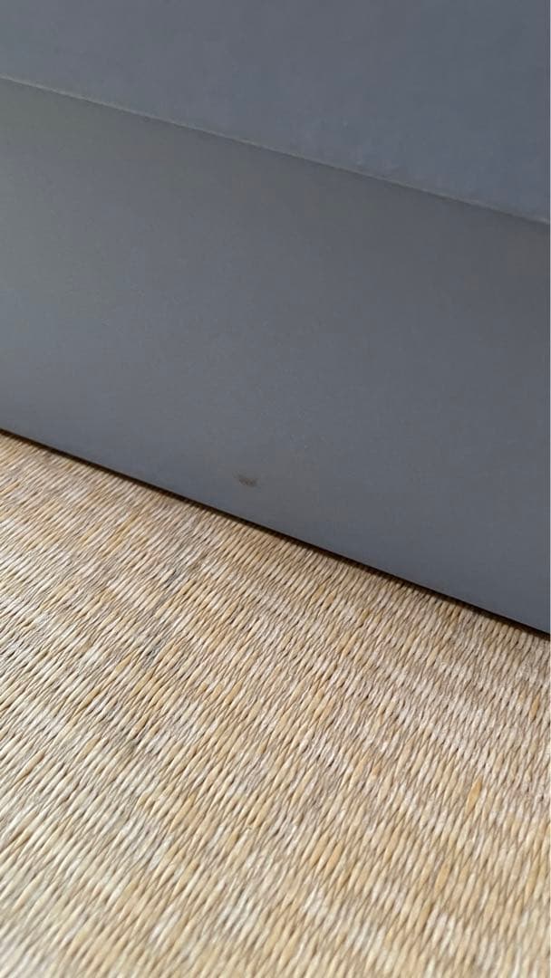 ウェッジウッド サムライブルー セット