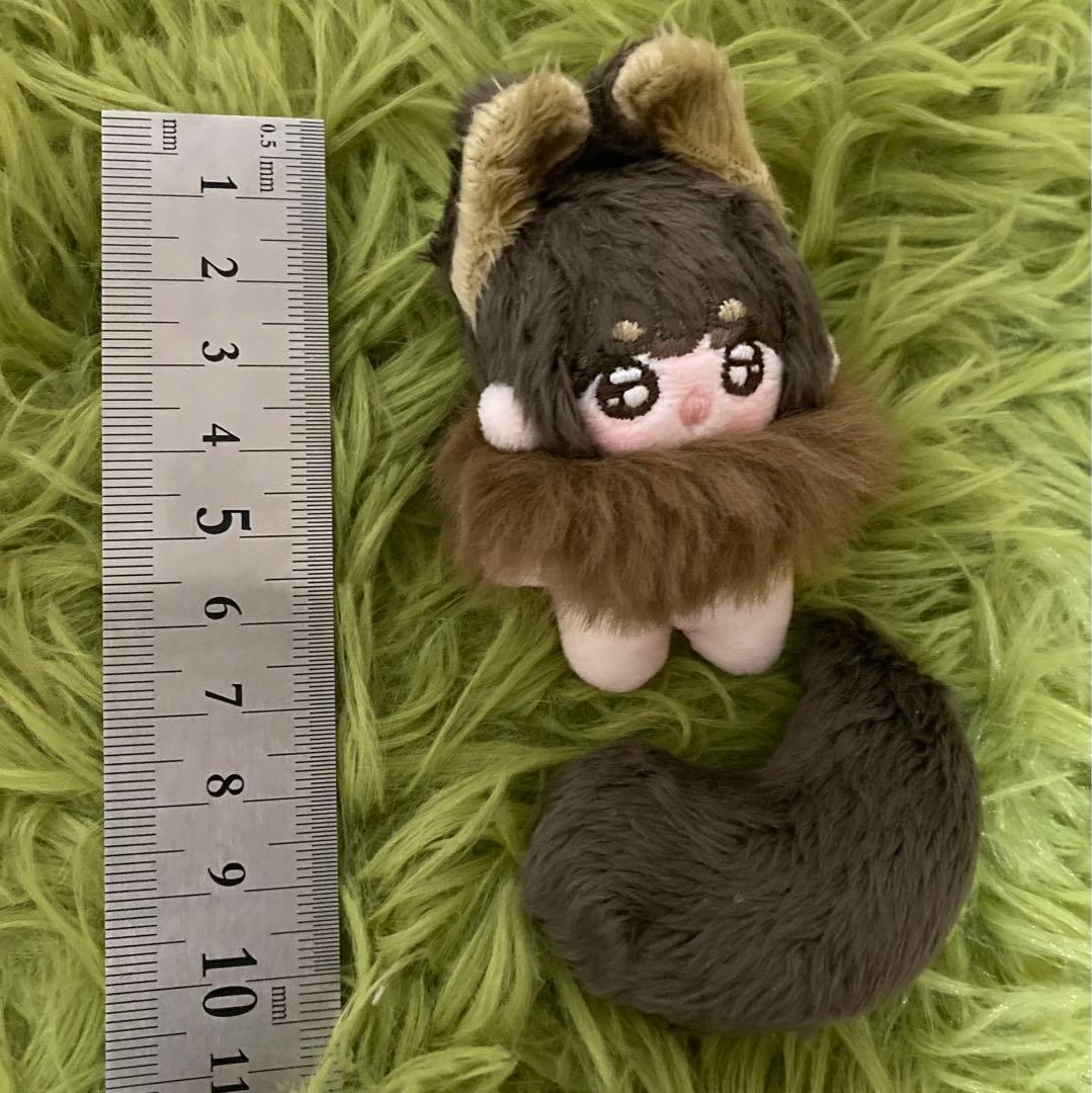 セミオーダー・わた