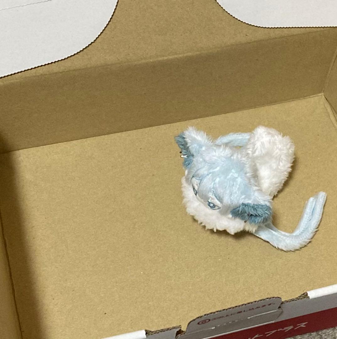 セミオーダー・わた