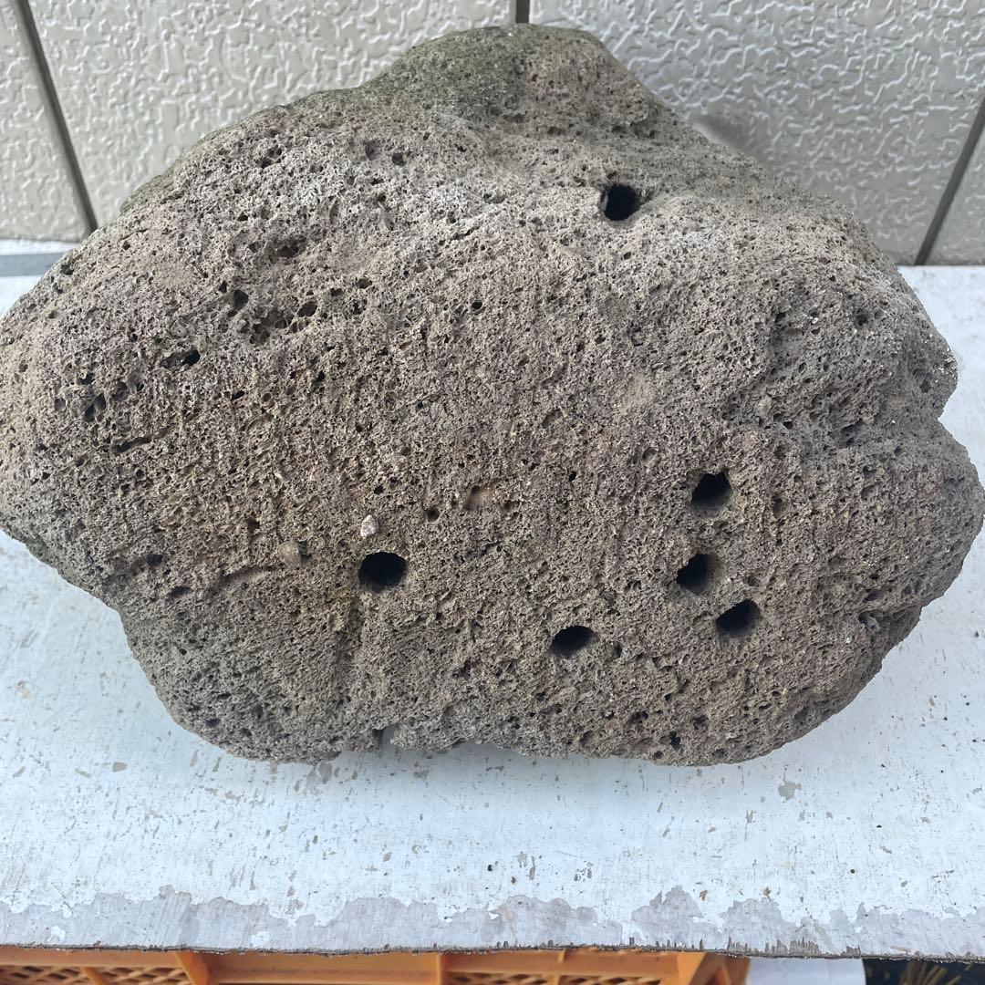 Kevin　雲山石 溶岩石鉢　レイアウト穴7個　水抜き穴あり