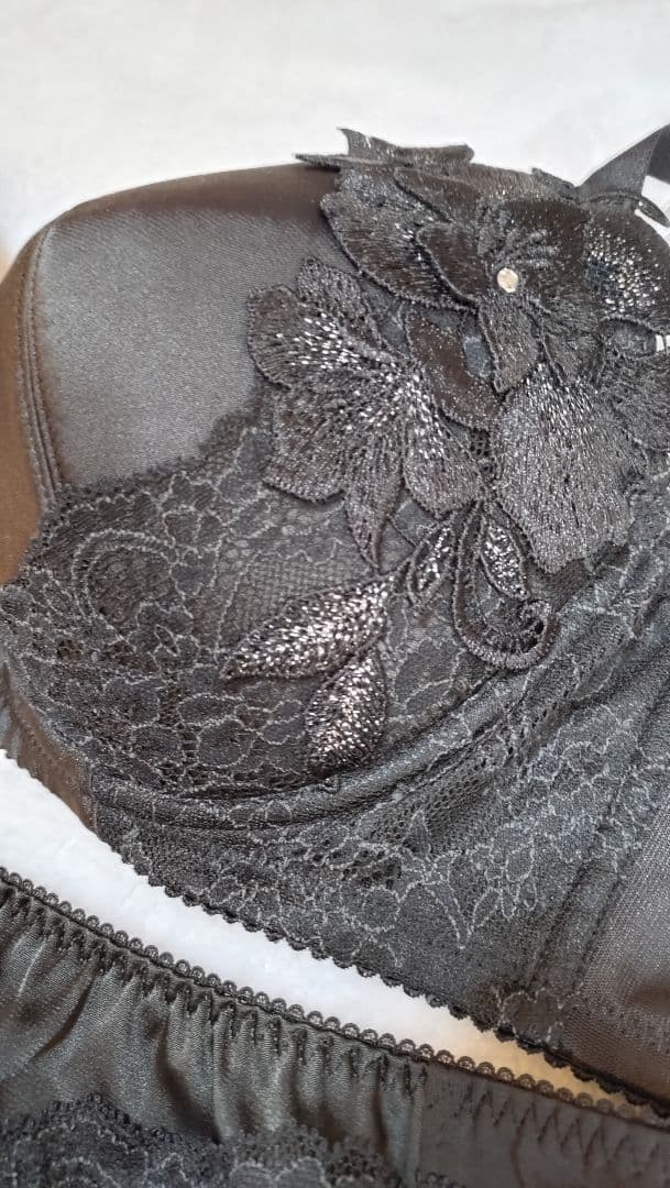 サルート　salute ブラジャーショーツセット75g F75 L 黒