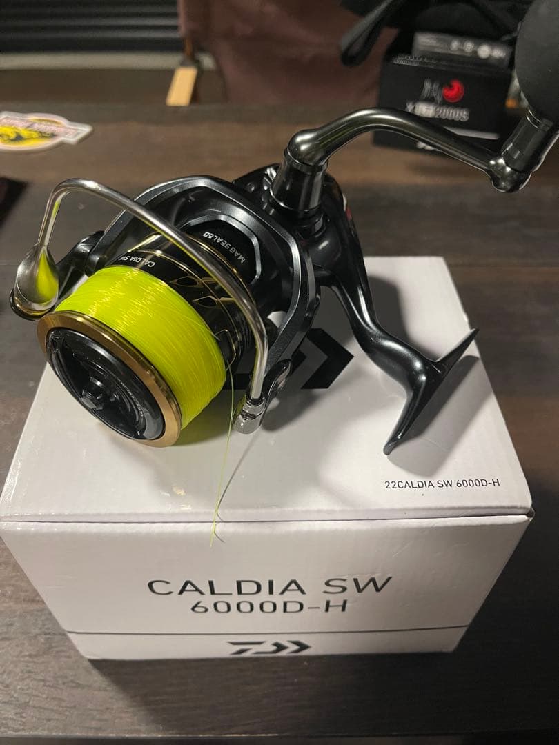 小鉄　DAIWA CALDIA SW 6000D-H スピニングリール