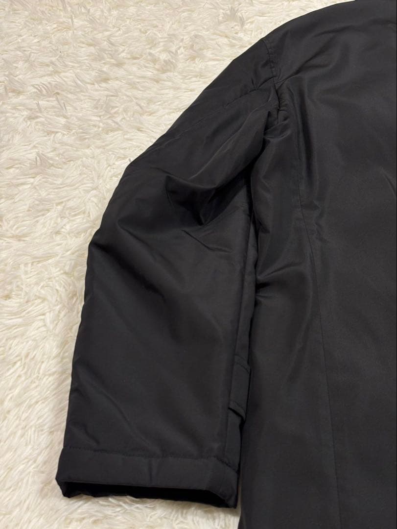 アクアスキュータム 比翼 シルク ライナー ダウン ステンカラー 38 M 黒