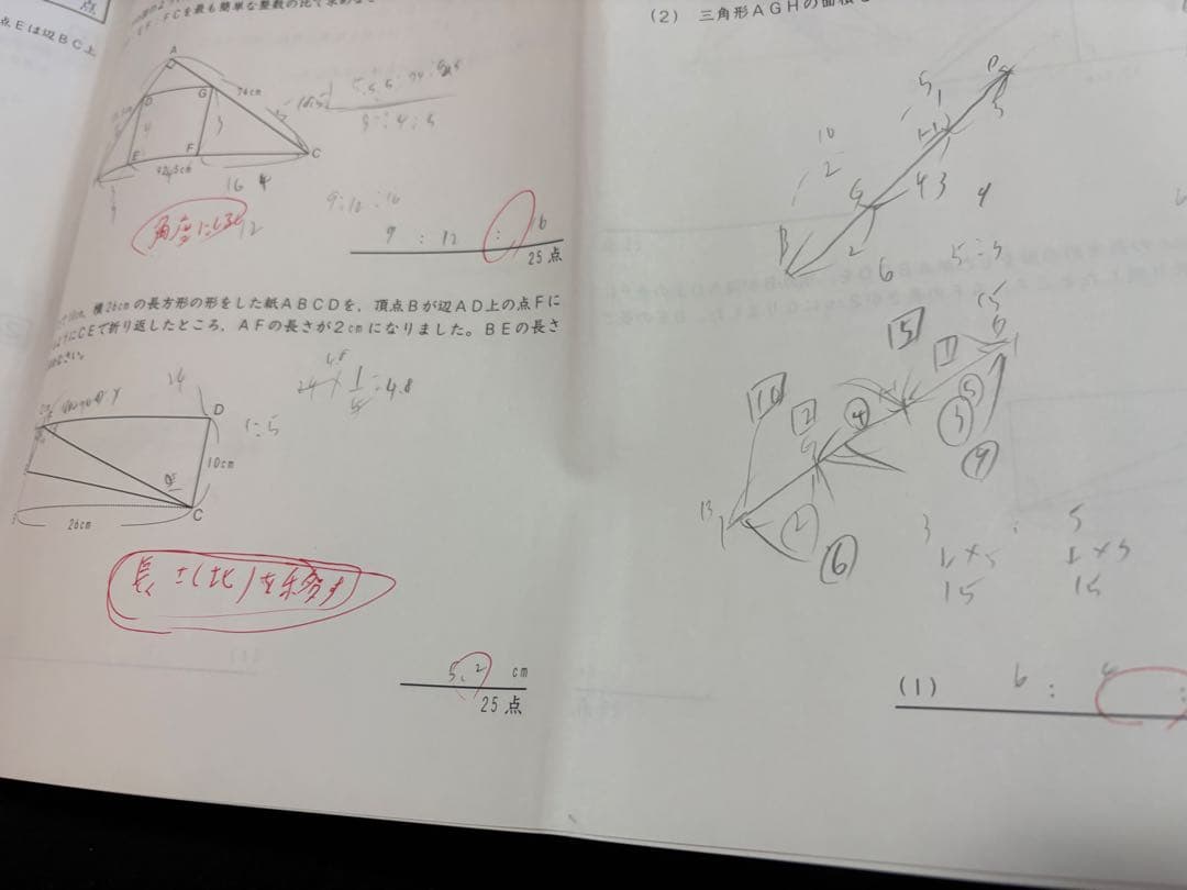 ひろ　サピックス 5年 テキスト 1年分
