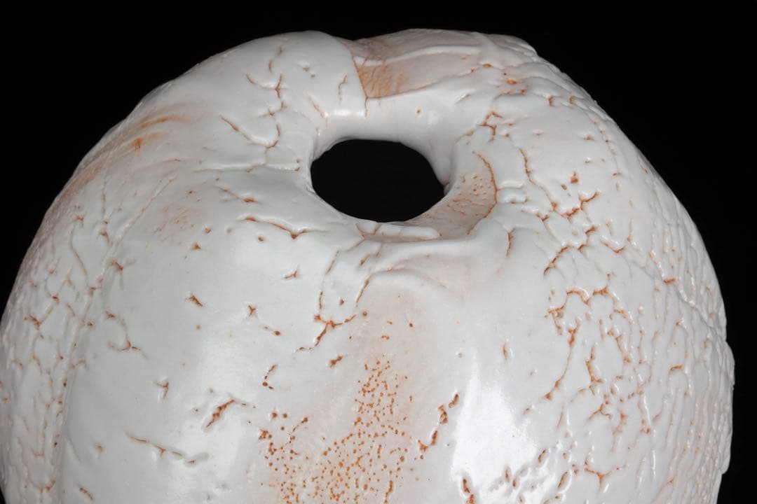 林正太郎 志野壺 共箱 栞付 高さ25㎝ 美濃焼 現代陶芸 花器 飾壺 日本美術