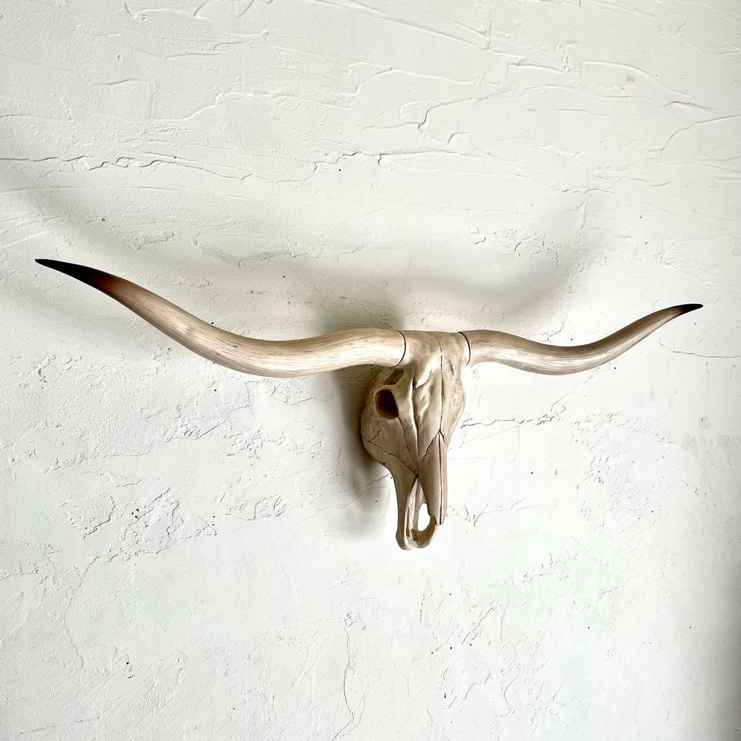 ◾️横幅74cm テキサスロングホーン バッファロースカル 壁掛けオブジェ◾️