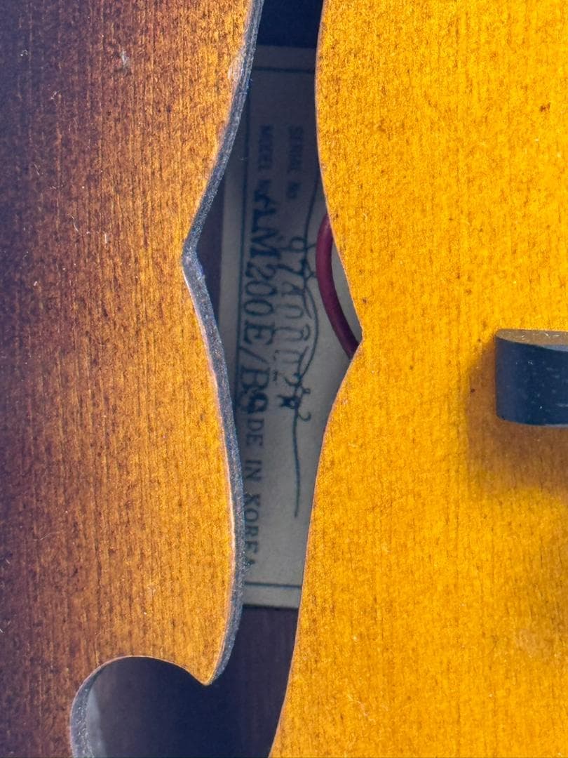 弦楽器 ARIA FlatMandolin AM-200E