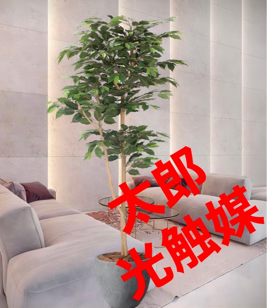 光触媒　人工観葉植物　フェイクグリーン　ナチュラルベンジャミン 1.6m