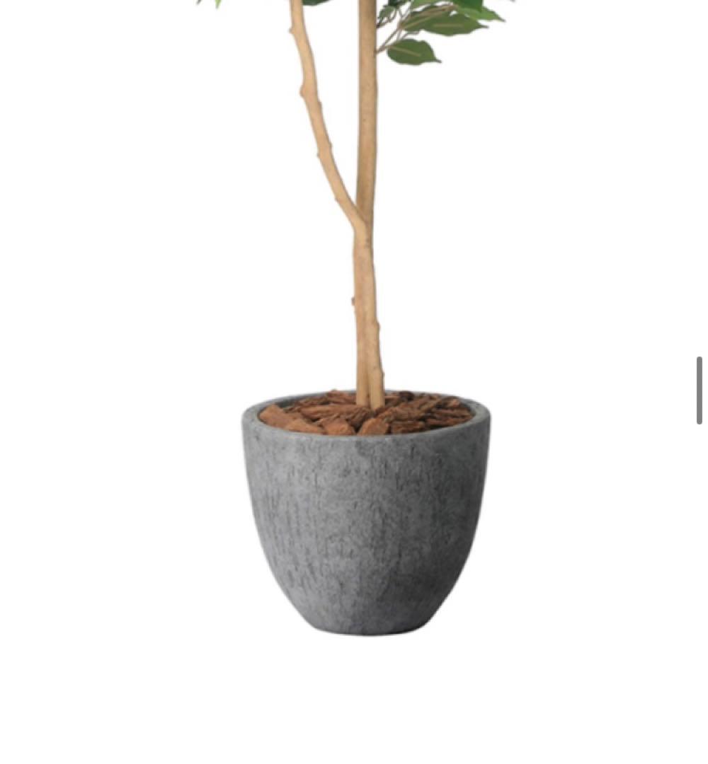 光触媒　人工観葉植物　フェイクグリーン　ナチュラルベンジャミン 1.6m