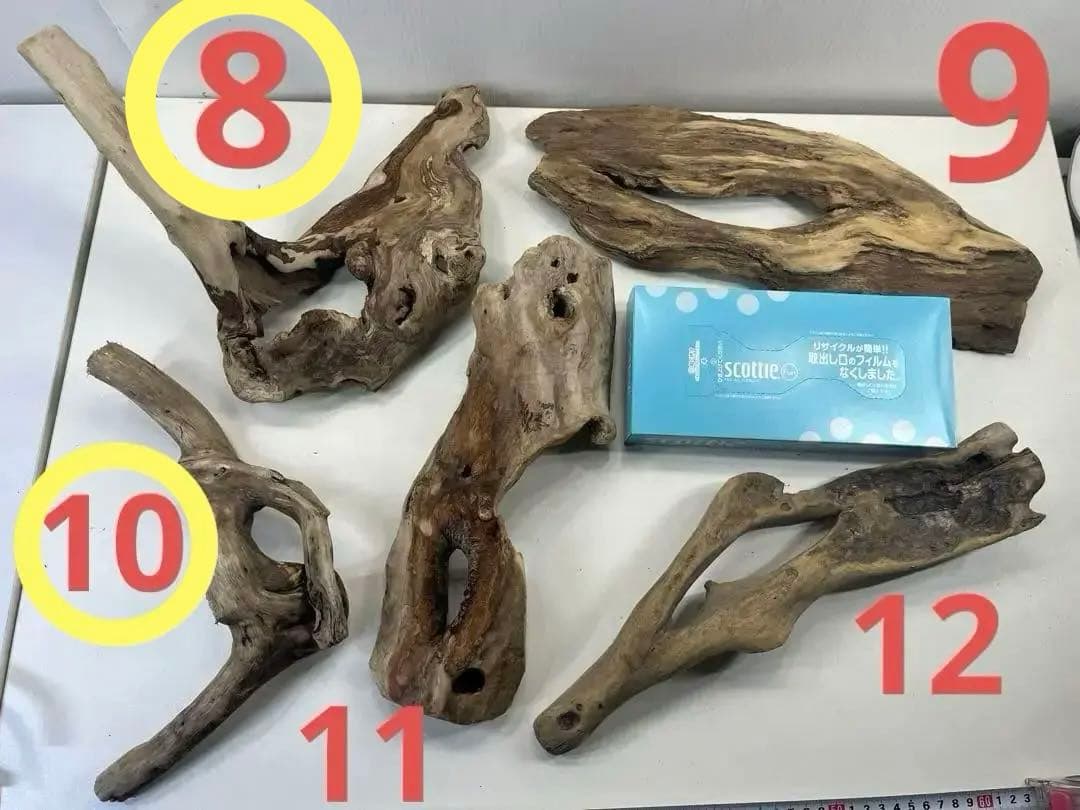 R70アク抜き済み流木 爬虫類シェルター レイアウト用 インテリア エアプランツ