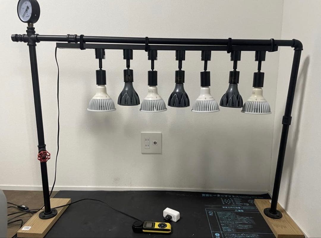 アガベ パキプス グラキリス 植物棚 アイアンフレーム 育苗シート