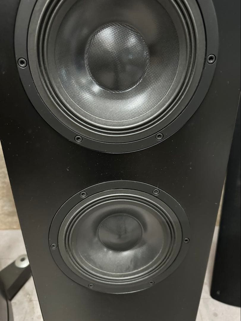 Pioneer S-1EX 000324 1本 TAD/AIR Studios