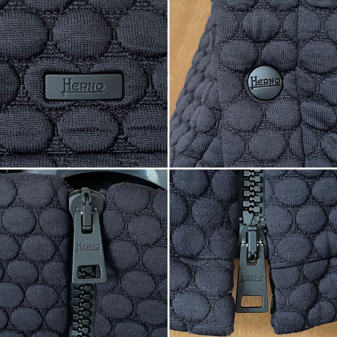 HERNOヘルノ LAMINARダウンコート 黒 フード付き19AW 定価20万