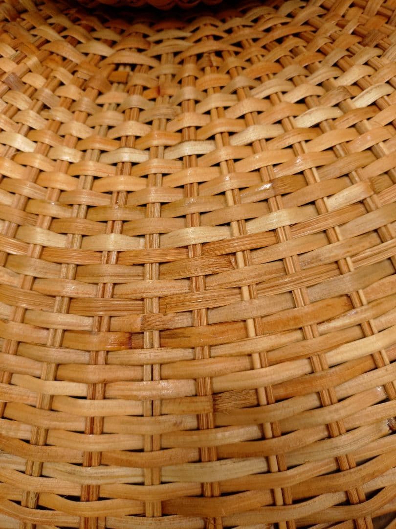 Francfranc MODERN WORKS トロンコ コーヒーテーブル