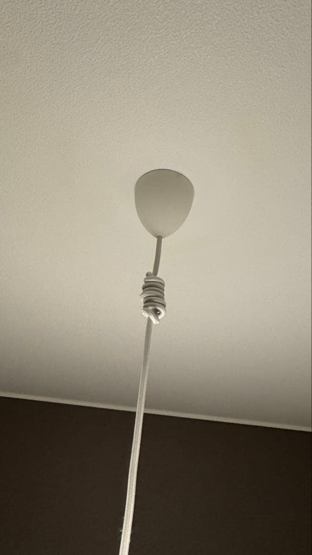 k*d様 Louis Poulsen ルイスポールセン VL45 250 ガラス