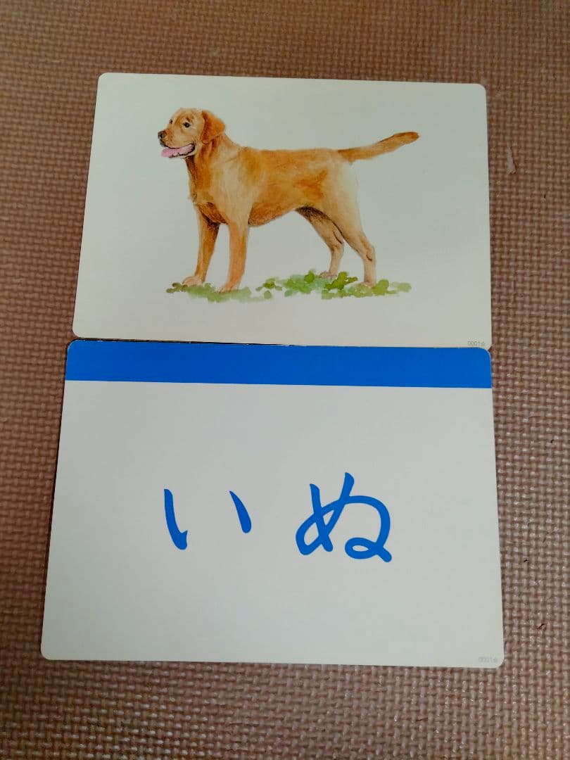 12/29まで値下　七田式 かな絵ちゃんフラッシュカード 3600枚 英語CD付