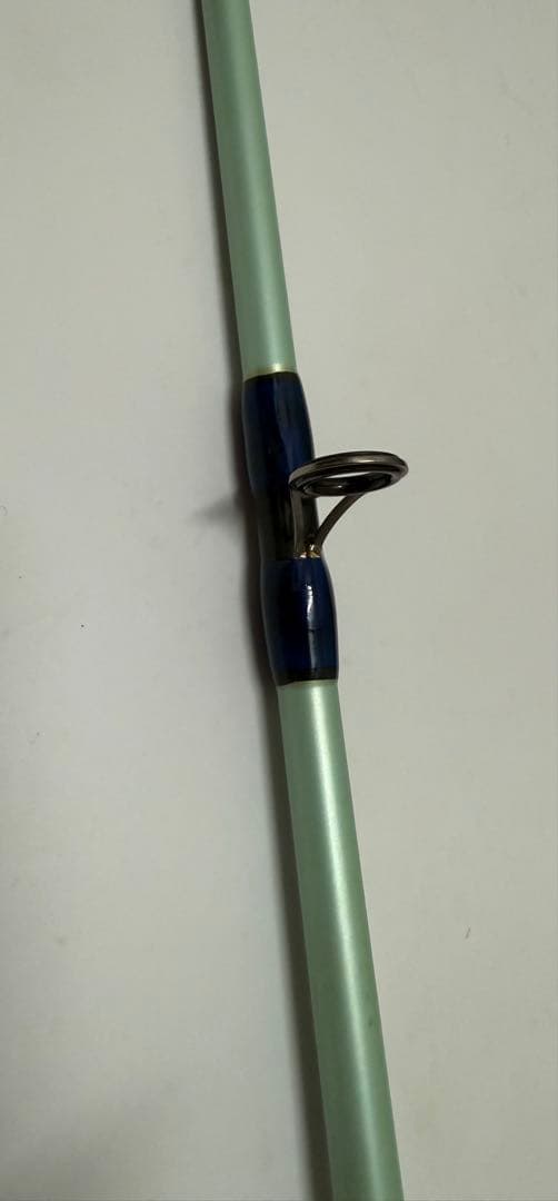 【2/22誕生日セール】 PALMS CORAL STAR CGJ-7016i