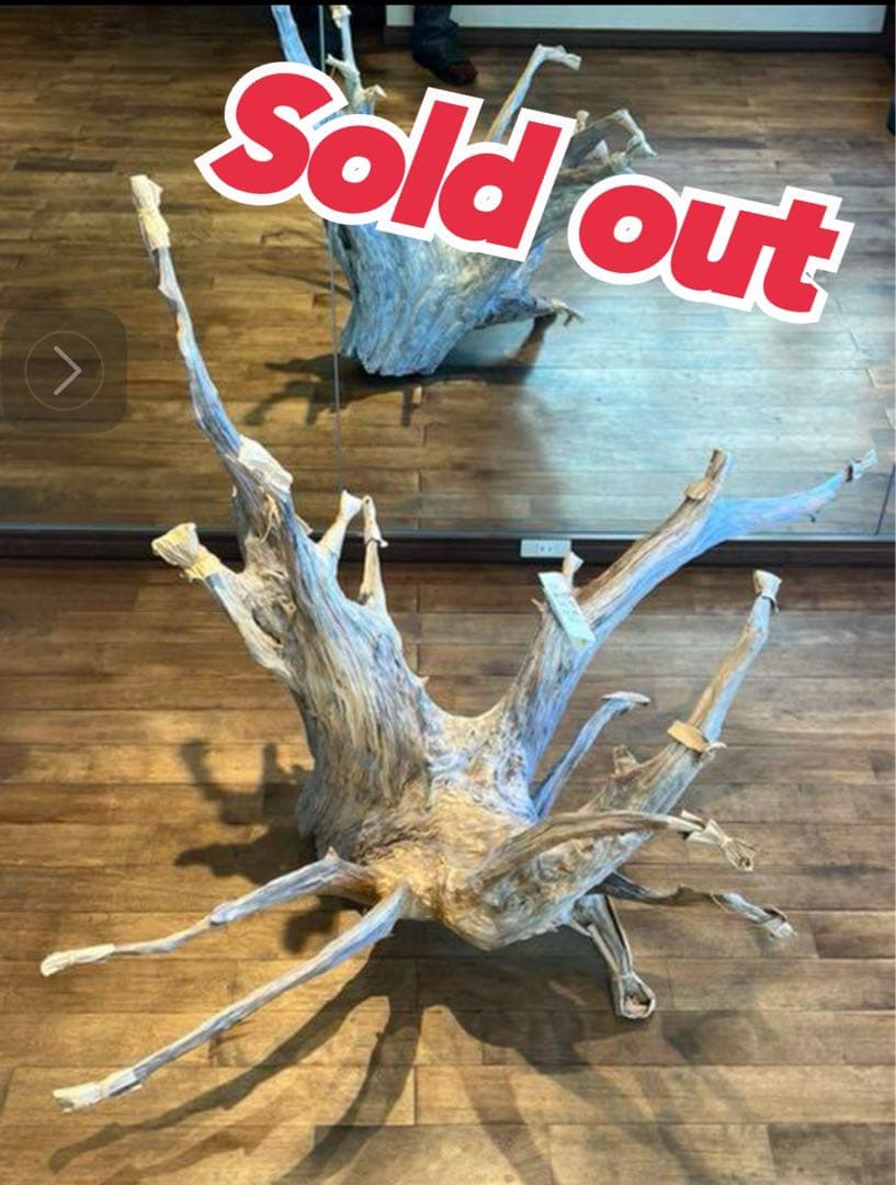 流木　特大　桧　ヒノキ　インテリア