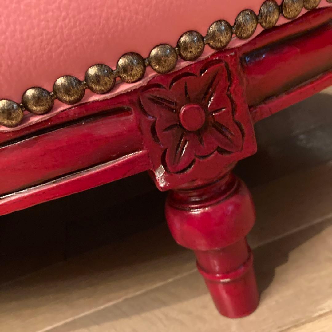 ピンクサロン小型犬