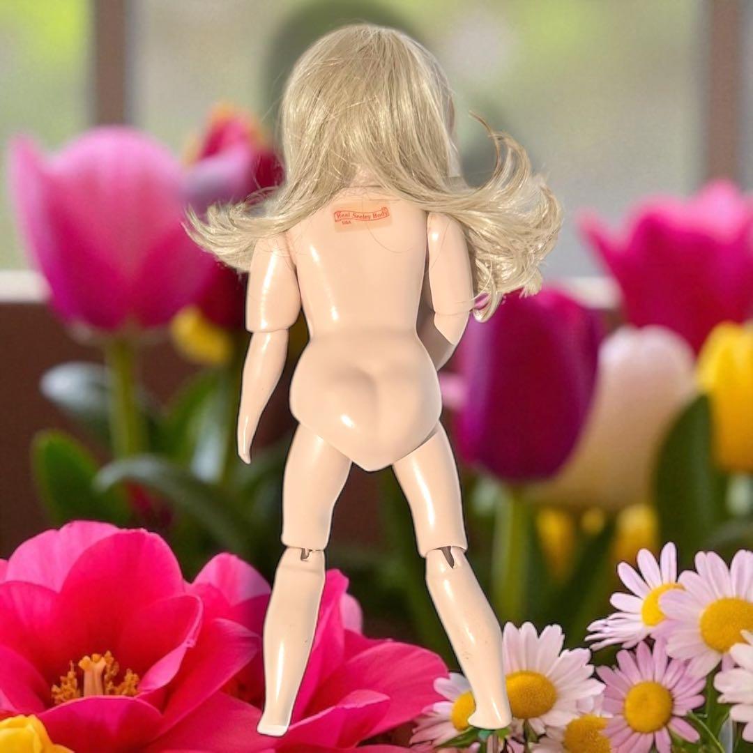 ダックスフンド智 ビスクドール ブリュ ジュン 作家様 ミニョネット