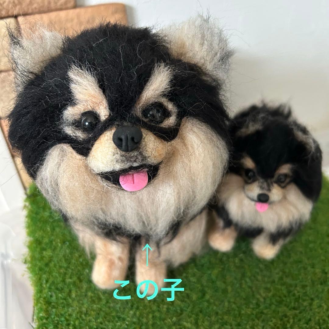 羊毛フェルト　ブラックタンポメラニアン　BTS テテ　ヨンタン風