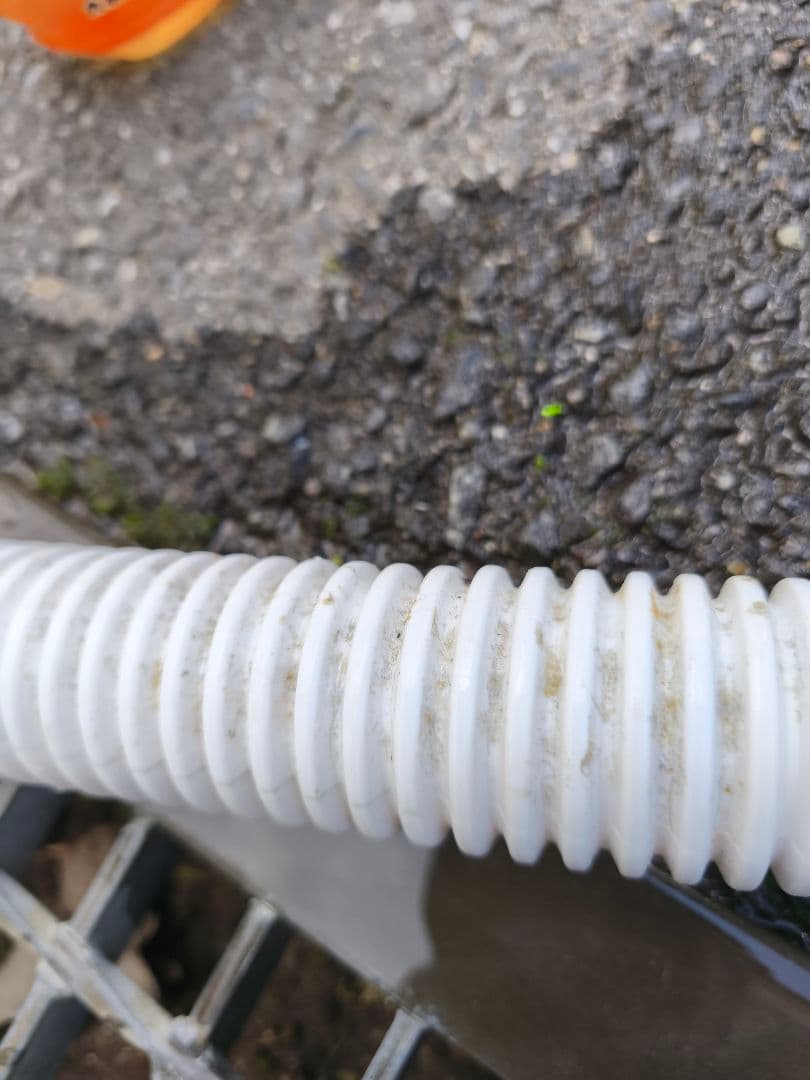 関東限定 2019年 条件にて無料配送 Hisense 5.5㌔ 洗濯機