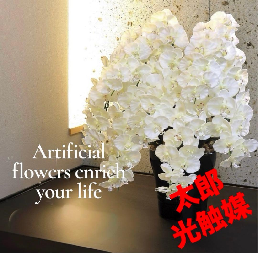 光触媒　観葉植物　ウォールグリーン　フェイクグリーン　プレミアム胡蝶蘭7本立W