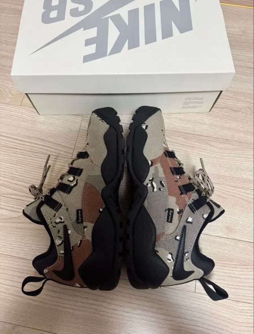 Supreme × Nike SB Darwin Low 箱付き