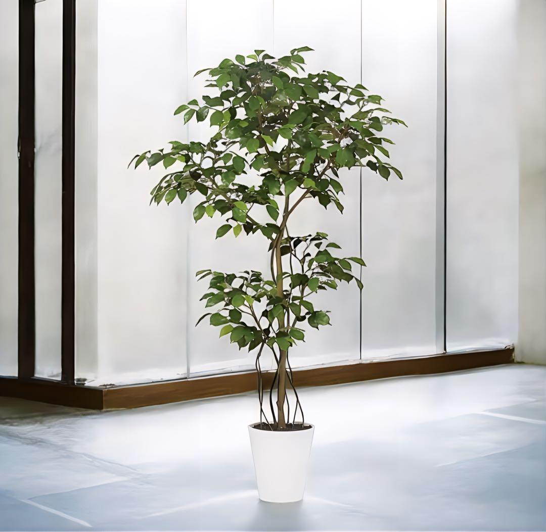 光触媒　人工観葉植物　フェイクグリーン　ベンジャミン FST150