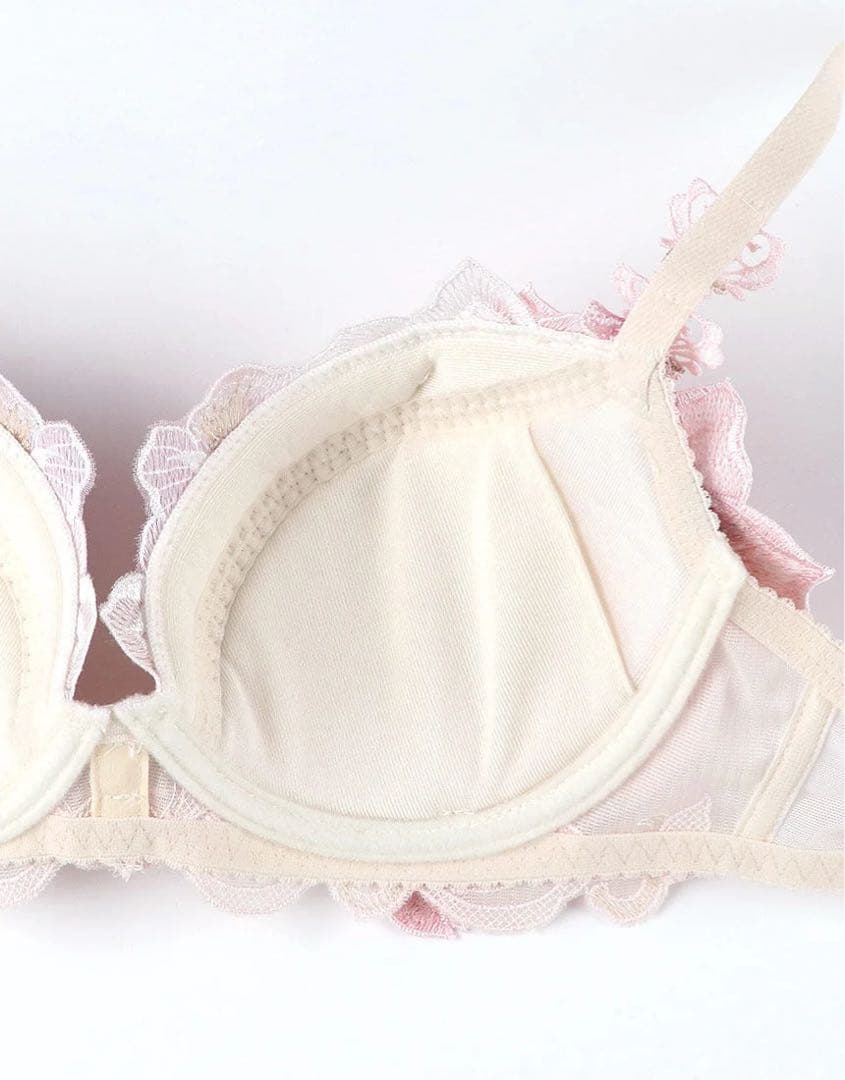 サルート　限定品　グループ29 d70