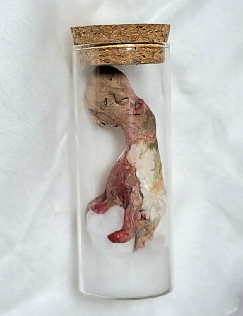 寄生型怪奇蟲　セットB　永野蟲　卵蓄光体　怪奇標本　まとめ5本　芸術作品　標本