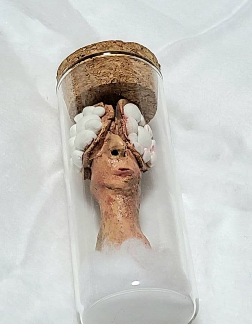 寄生型怪奇蟲　セットB　永野蟲　卵蓄光体　怪奇標本　まとめ5本　芸術作品　標本