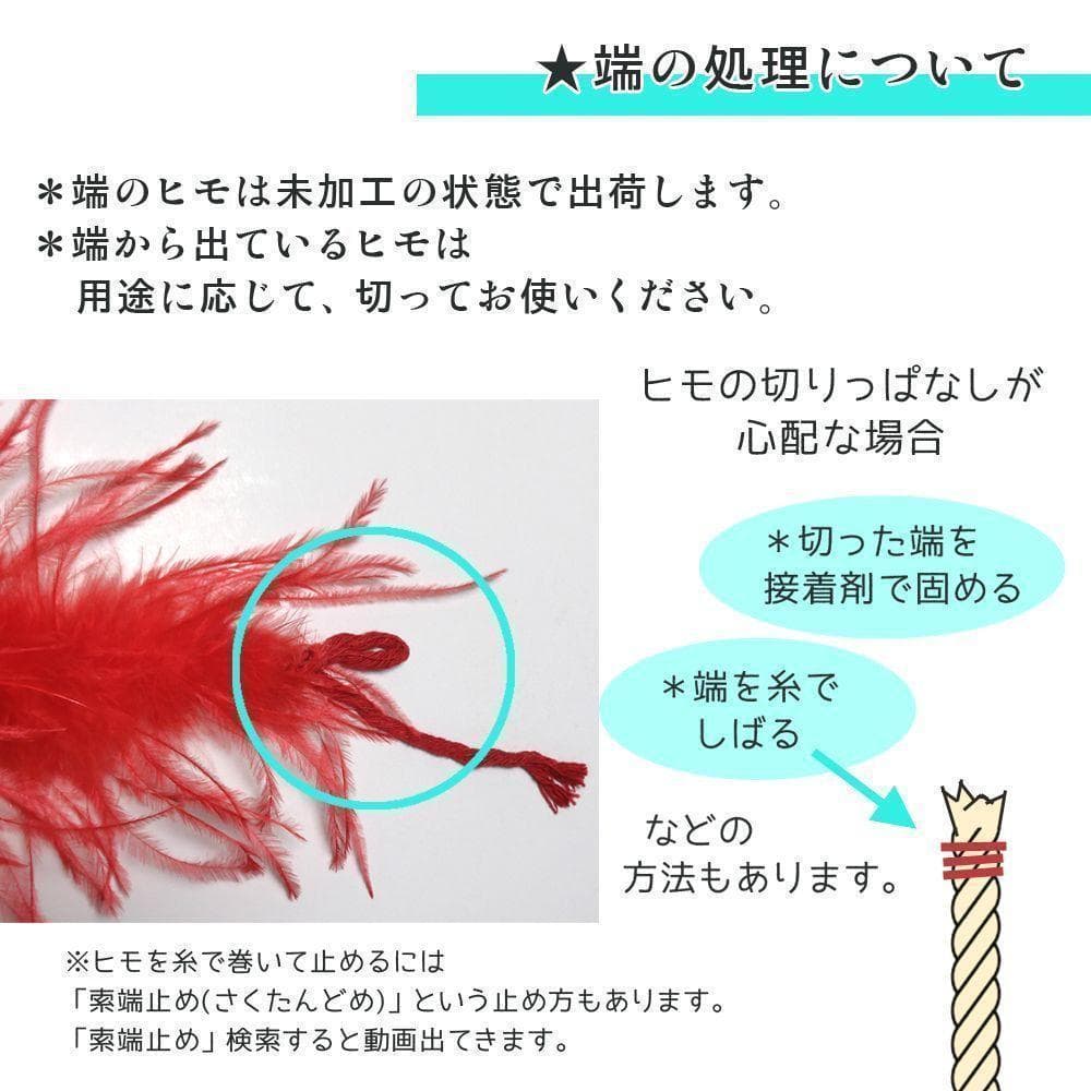 あやめ★オーストリッチ 羽毛