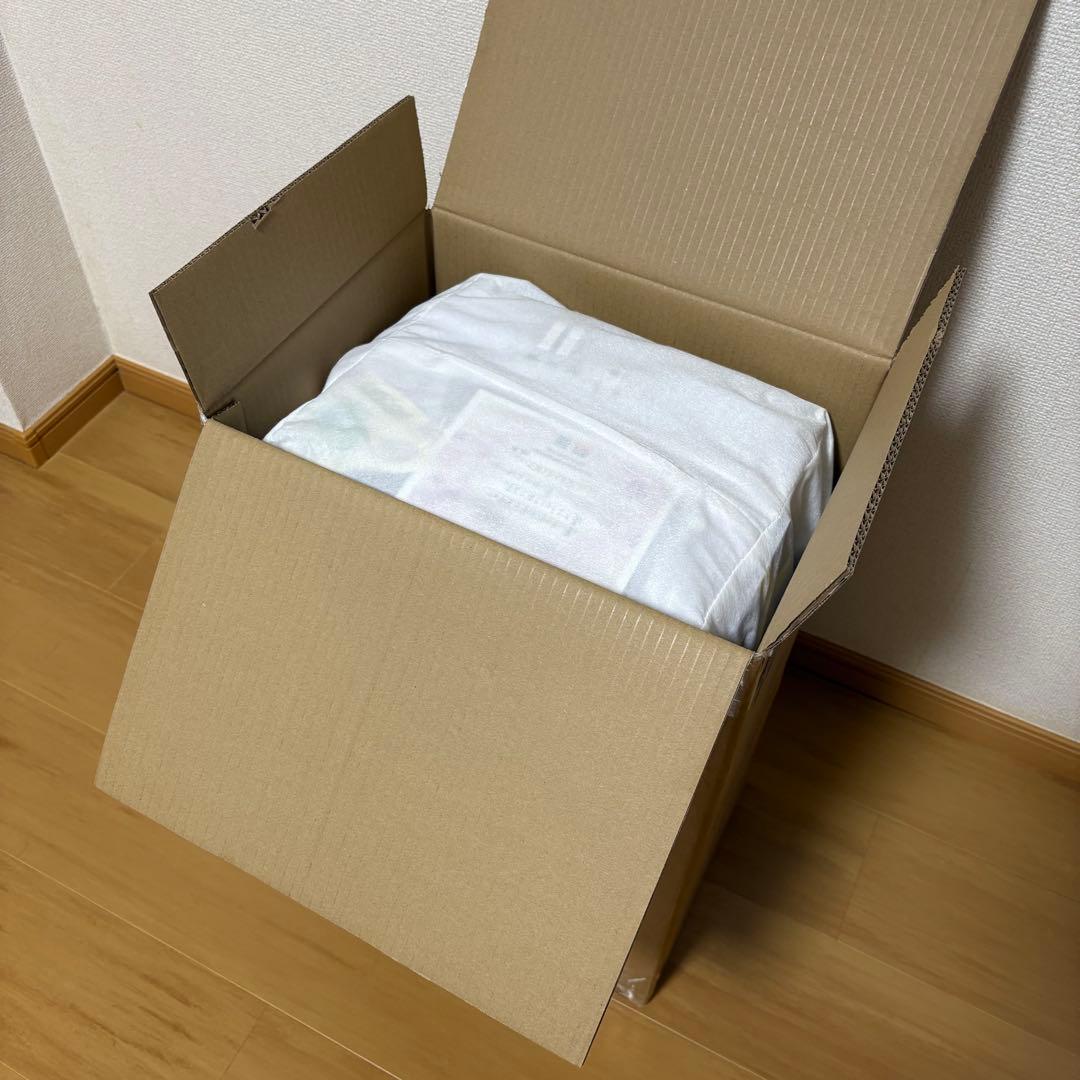 【未使用】INV50 スノーホワイト 鏡面 38L 機内持込可 イノベーター