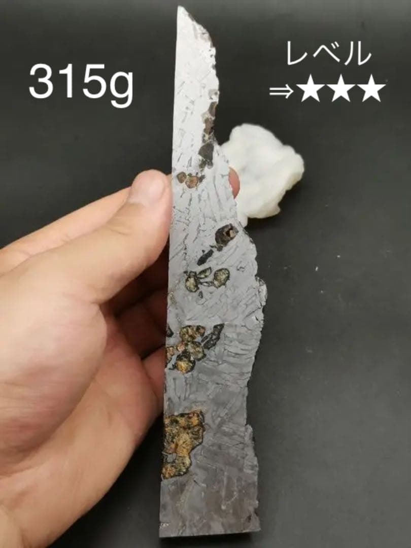 セイムチャン隕石　パラサイト隕石  激安　315g ロシア産
