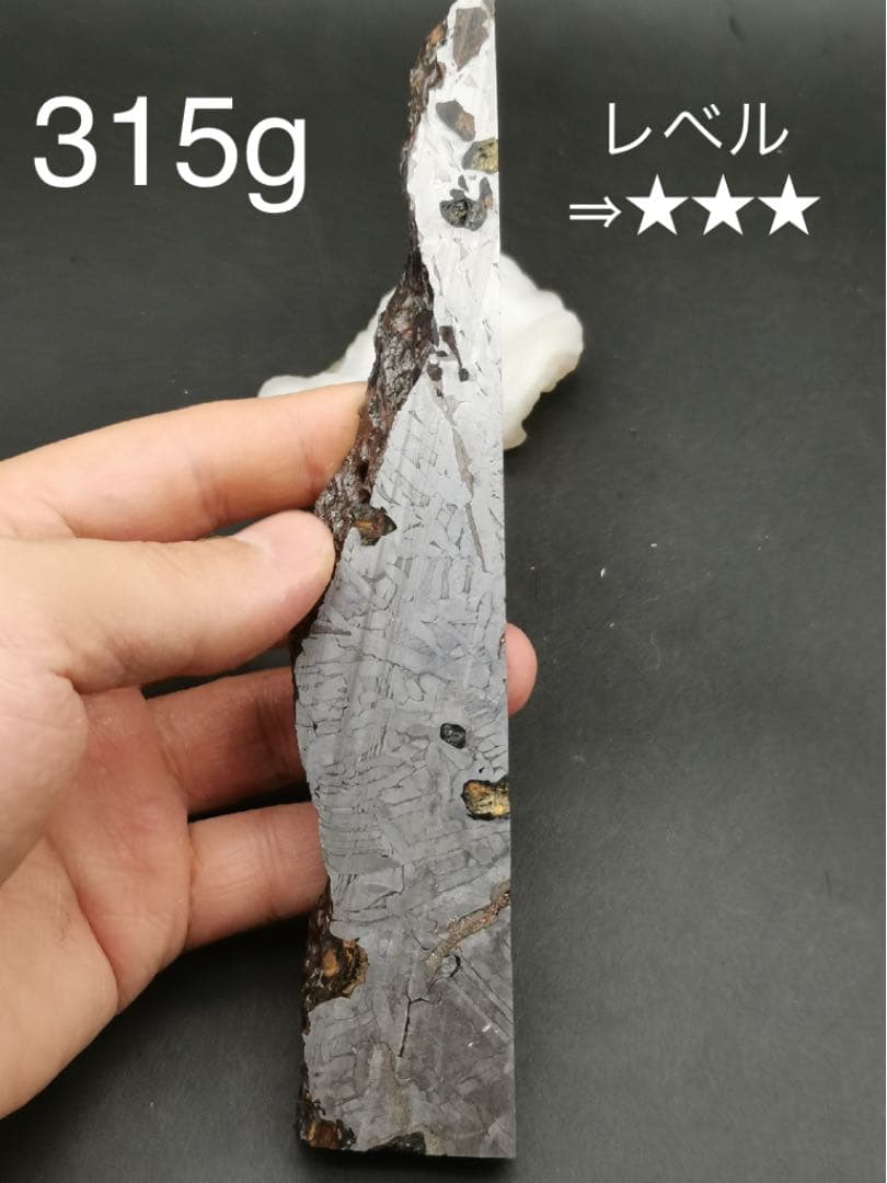 セイムチャン隕石　パラサイト隕石  激安　315g ロシア産