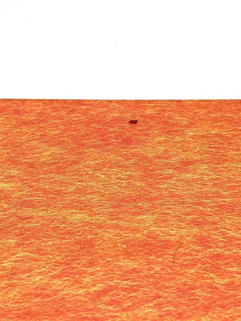 【未開封】琉球泡盛 忠孝 南蛮荒焼 1800ml 43度